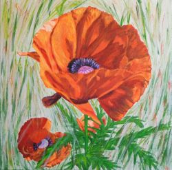 Painting: Oriental Poppy 1